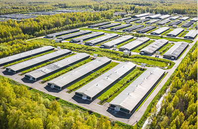 Industrial chicken houses